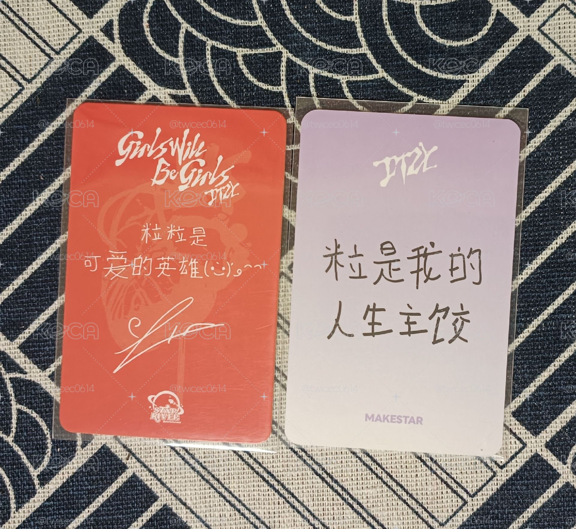 itzy 中背布丁狗/餃子粒