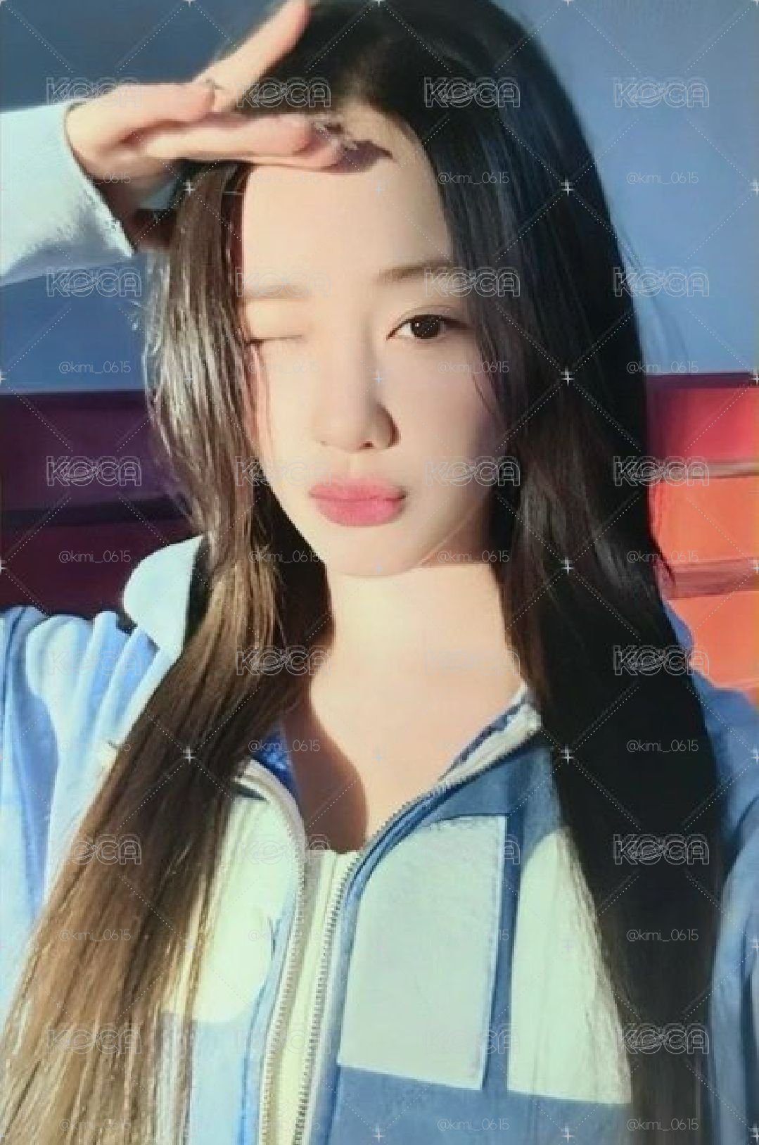 塔一週年京東特典