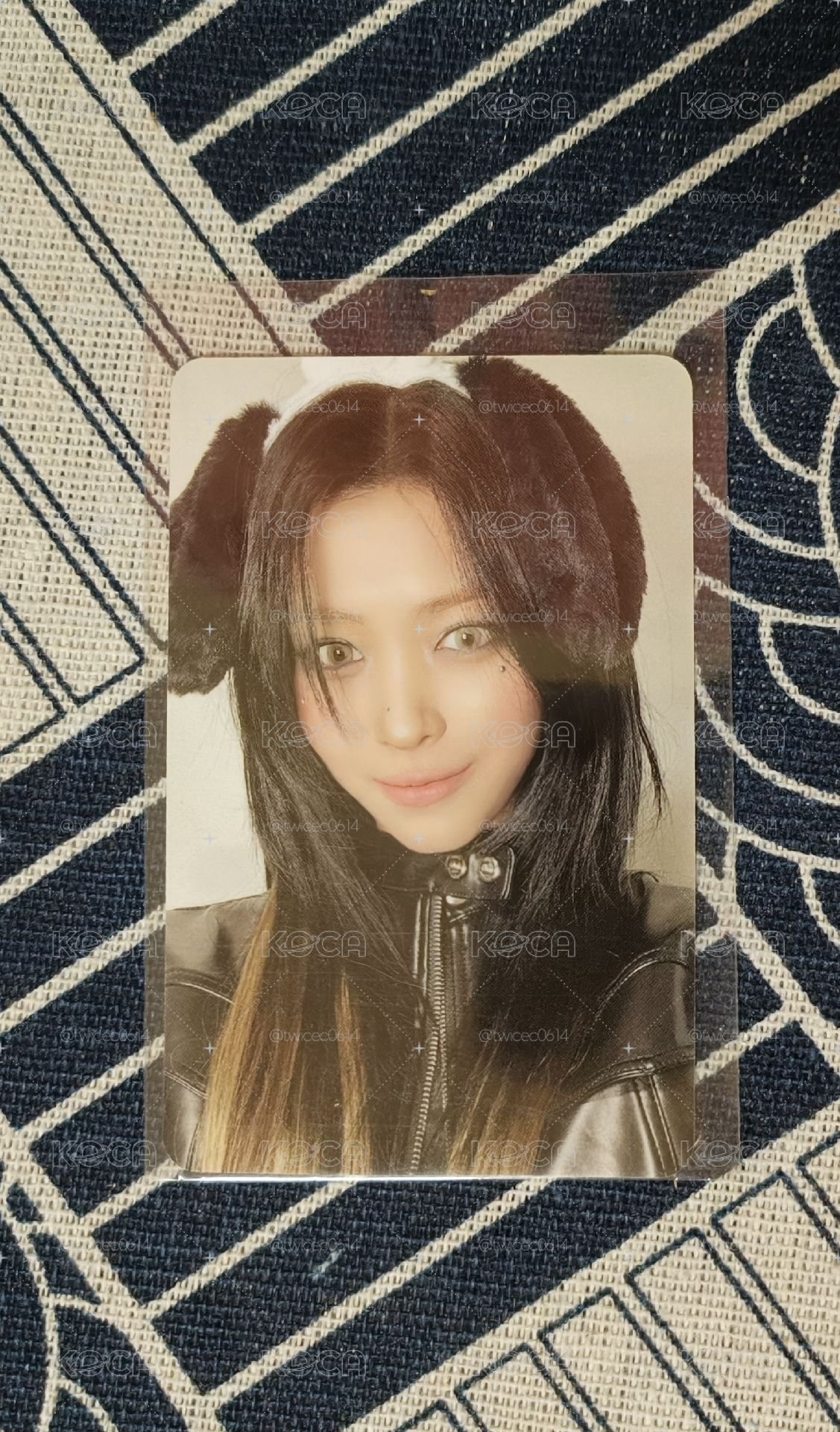 itzy 小狗中背留