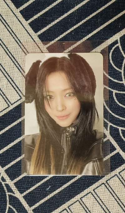 itzy 小狗中背留