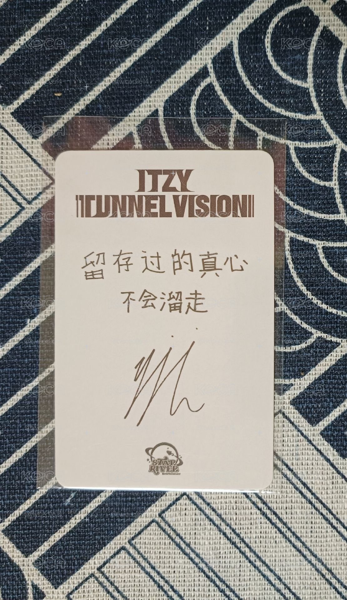 itzy 小狗中背留