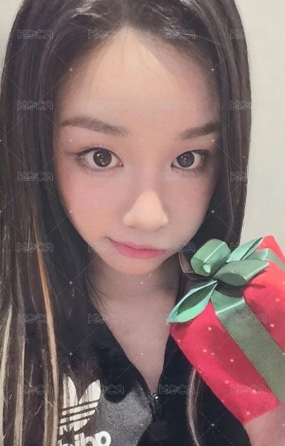 塔聖誕C一套