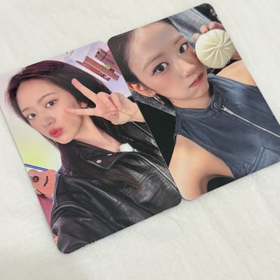 🐶安安ㄉ兩張中文卡背🐶