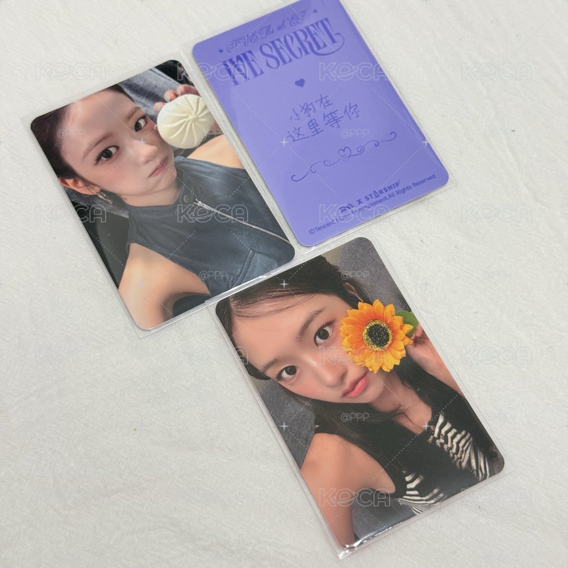 🐶包子+向日葵🌻 中文卡背
