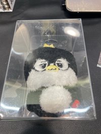 愚人節娃娃含卡
