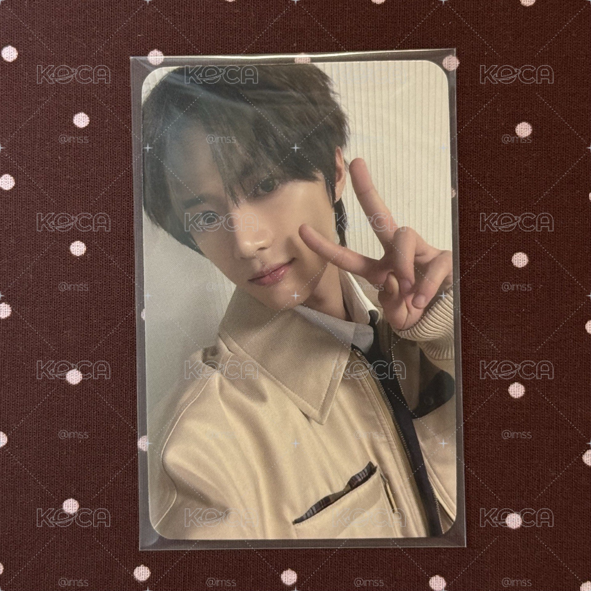 開除一隻小狗