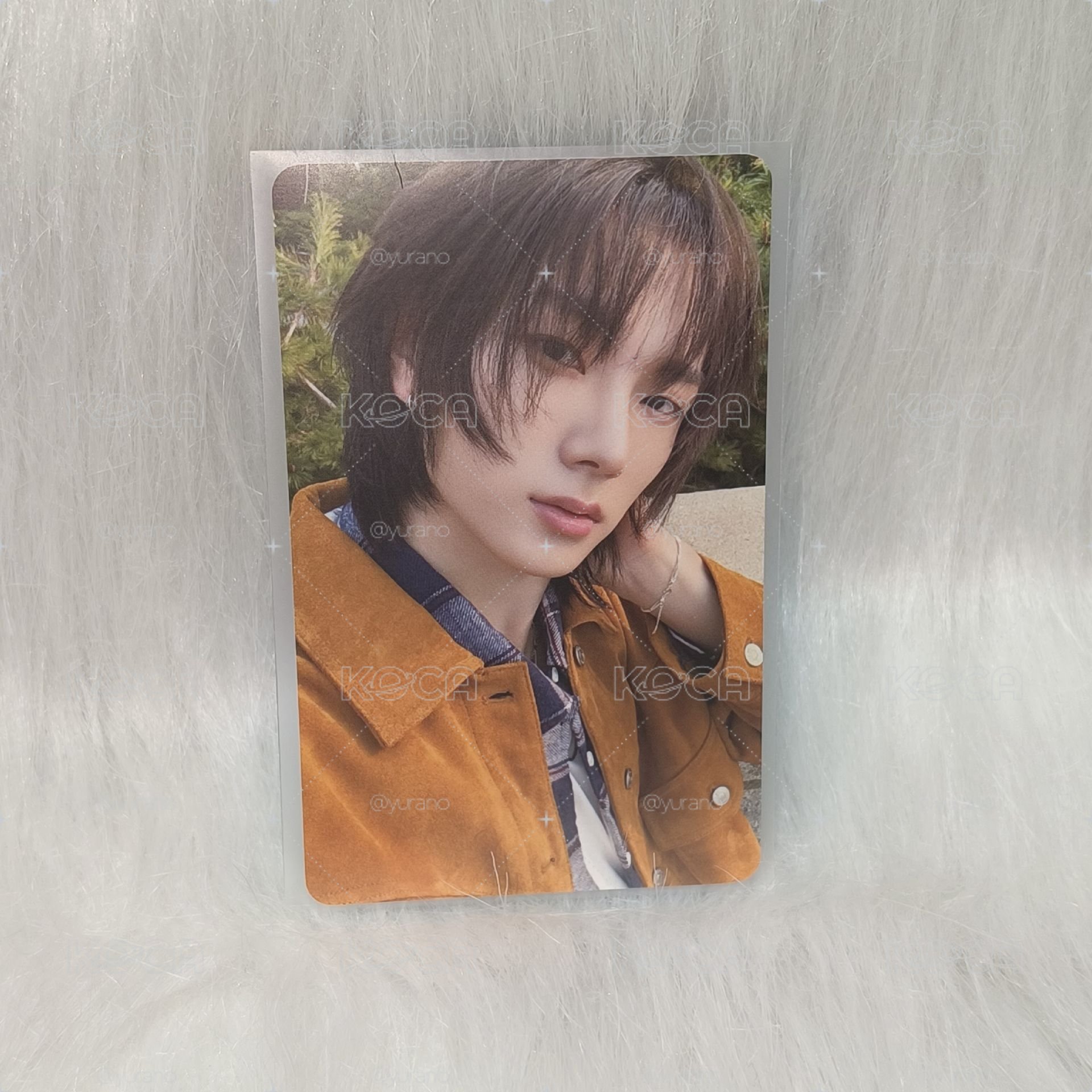 Sungho No Genre kkt特典