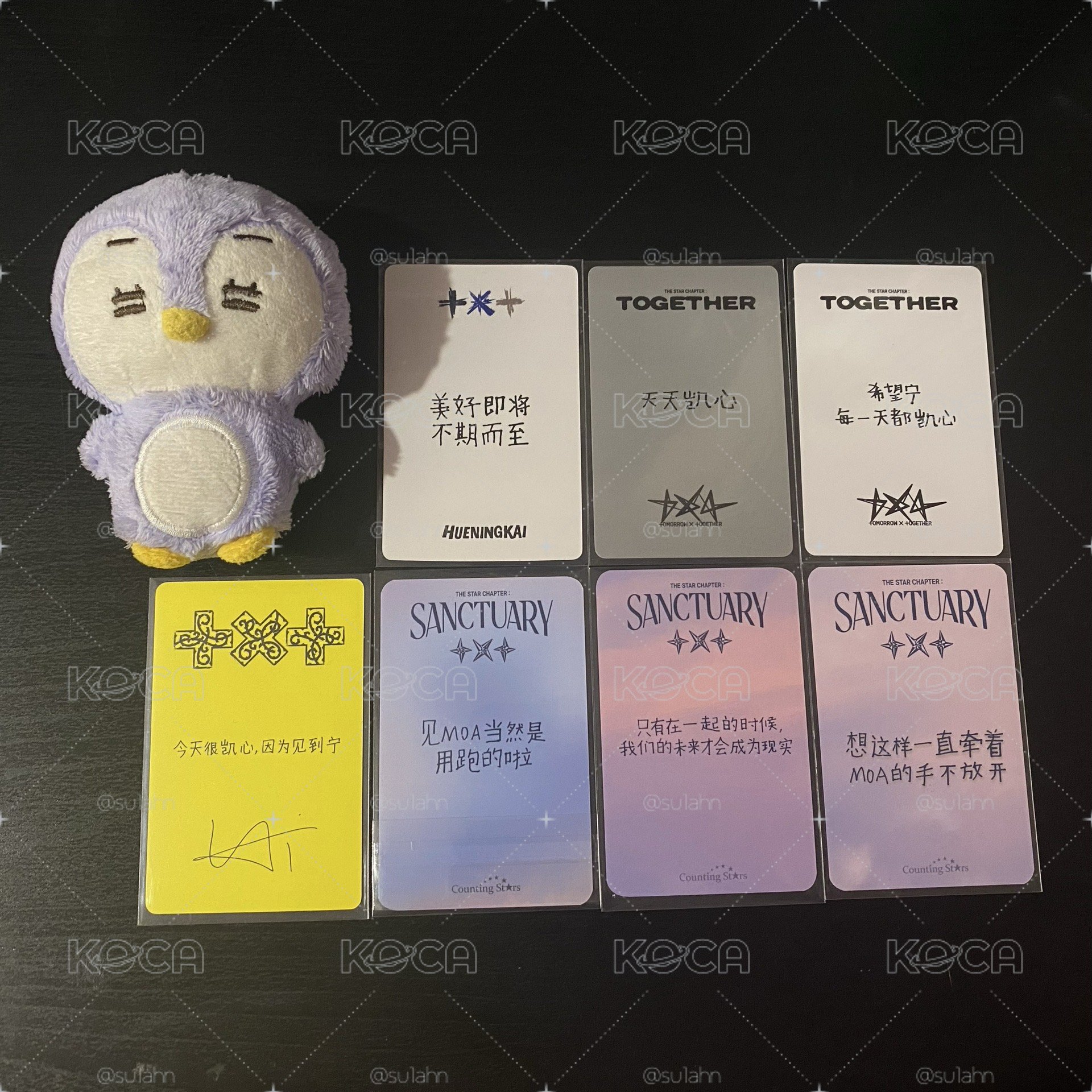 波巴寧中背小盤