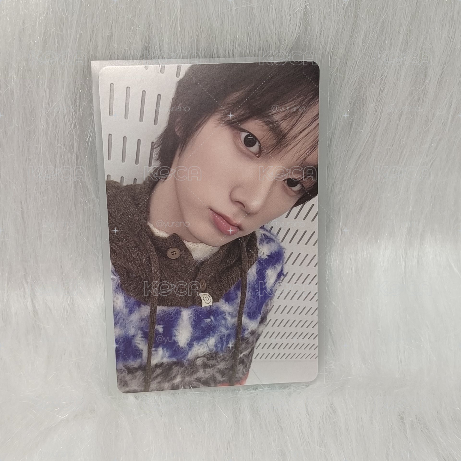 Sungho No Genre wvs單封特典
