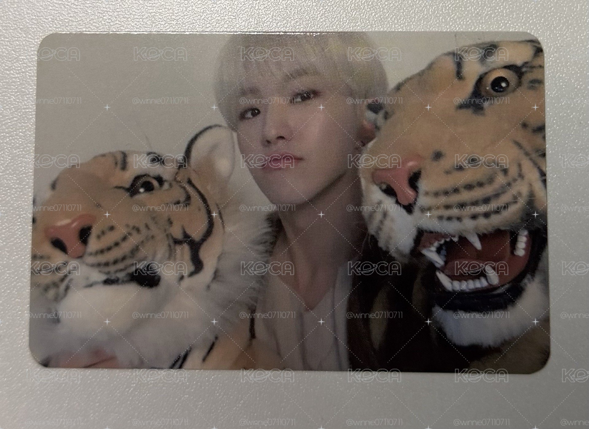 Seventeen 三虎榮 Hoshi