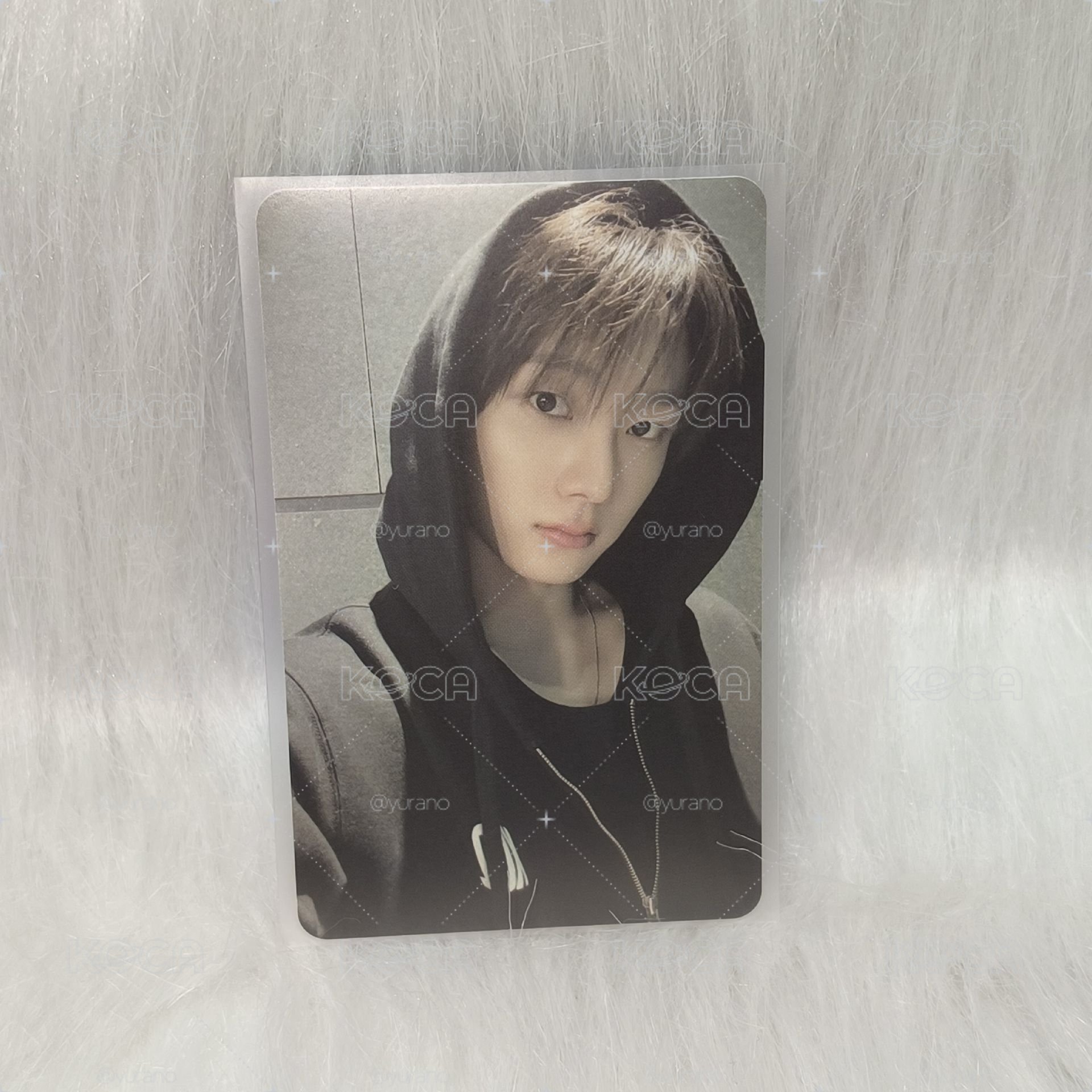 Sungho No Genre ma特典