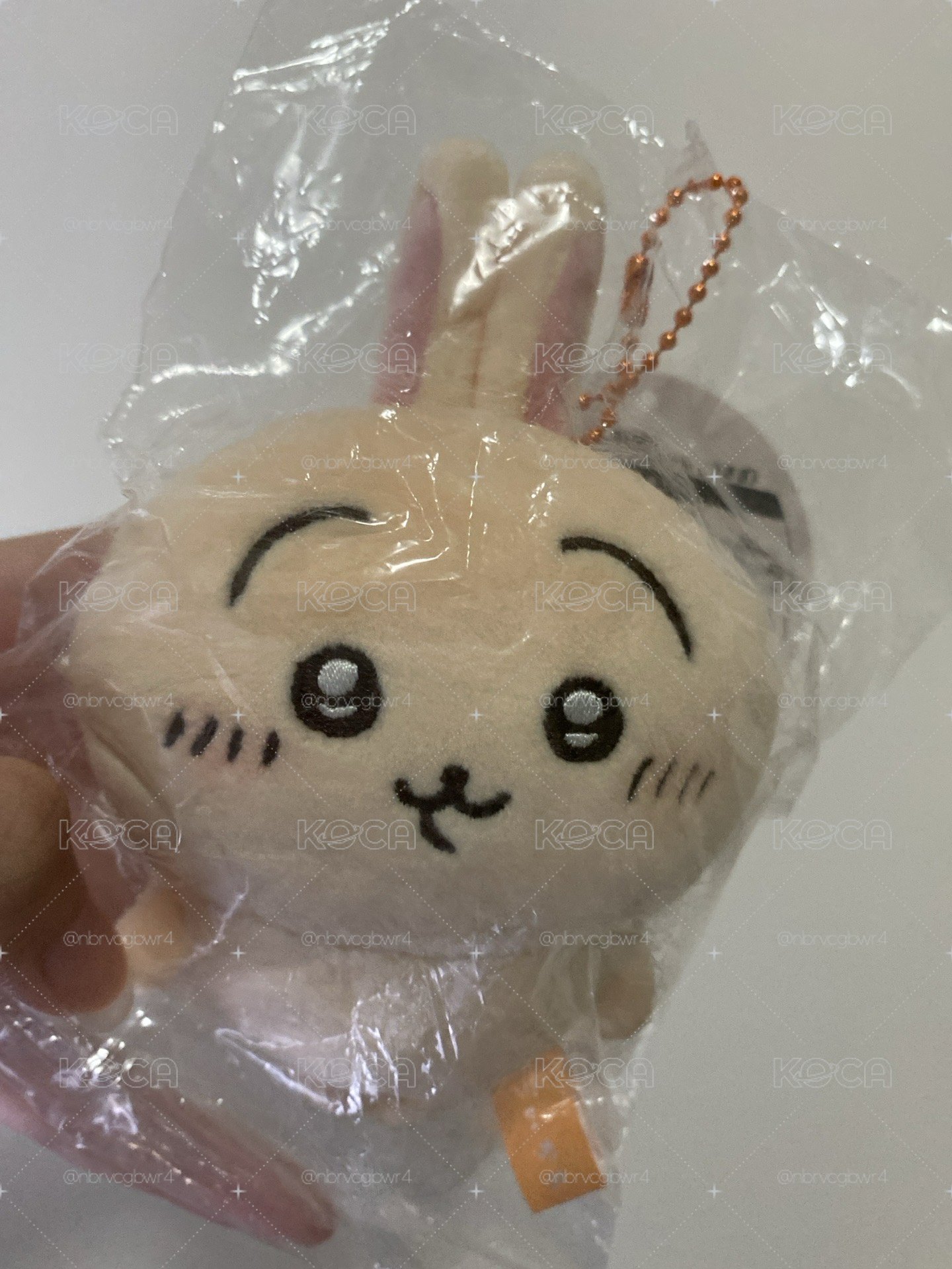 小腳兔