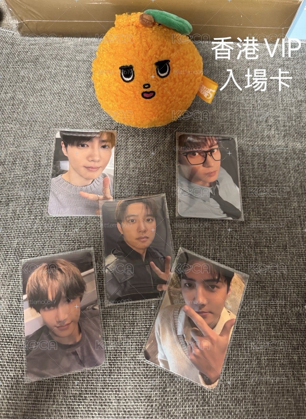 EXO 香港🇭🇰六巡VIP入場卡