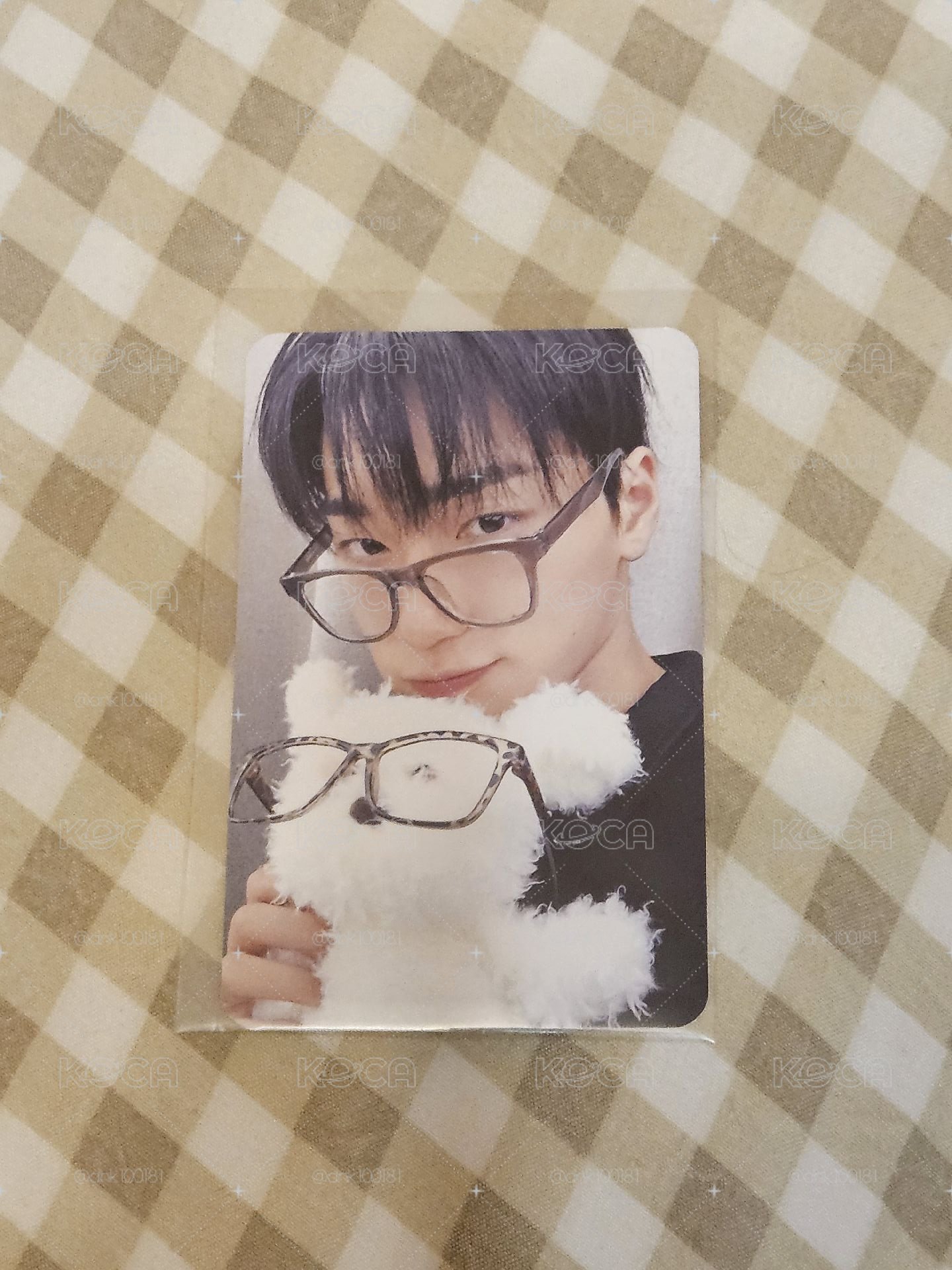 眼鏡狗狗傘