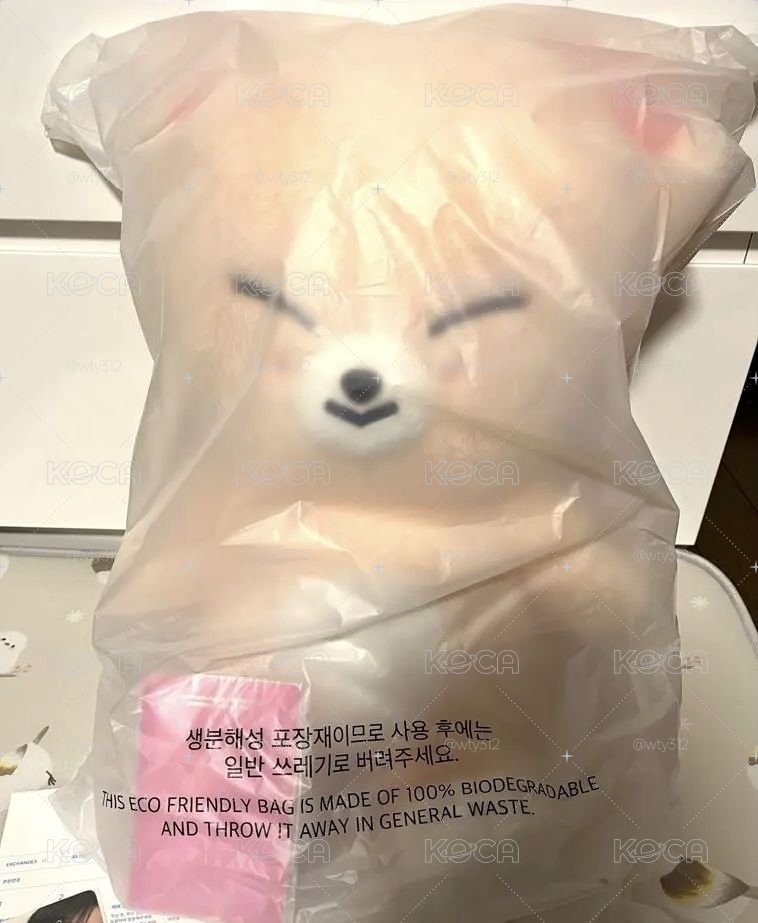 全新未拆 五期飯咪 寅 泰迪娃