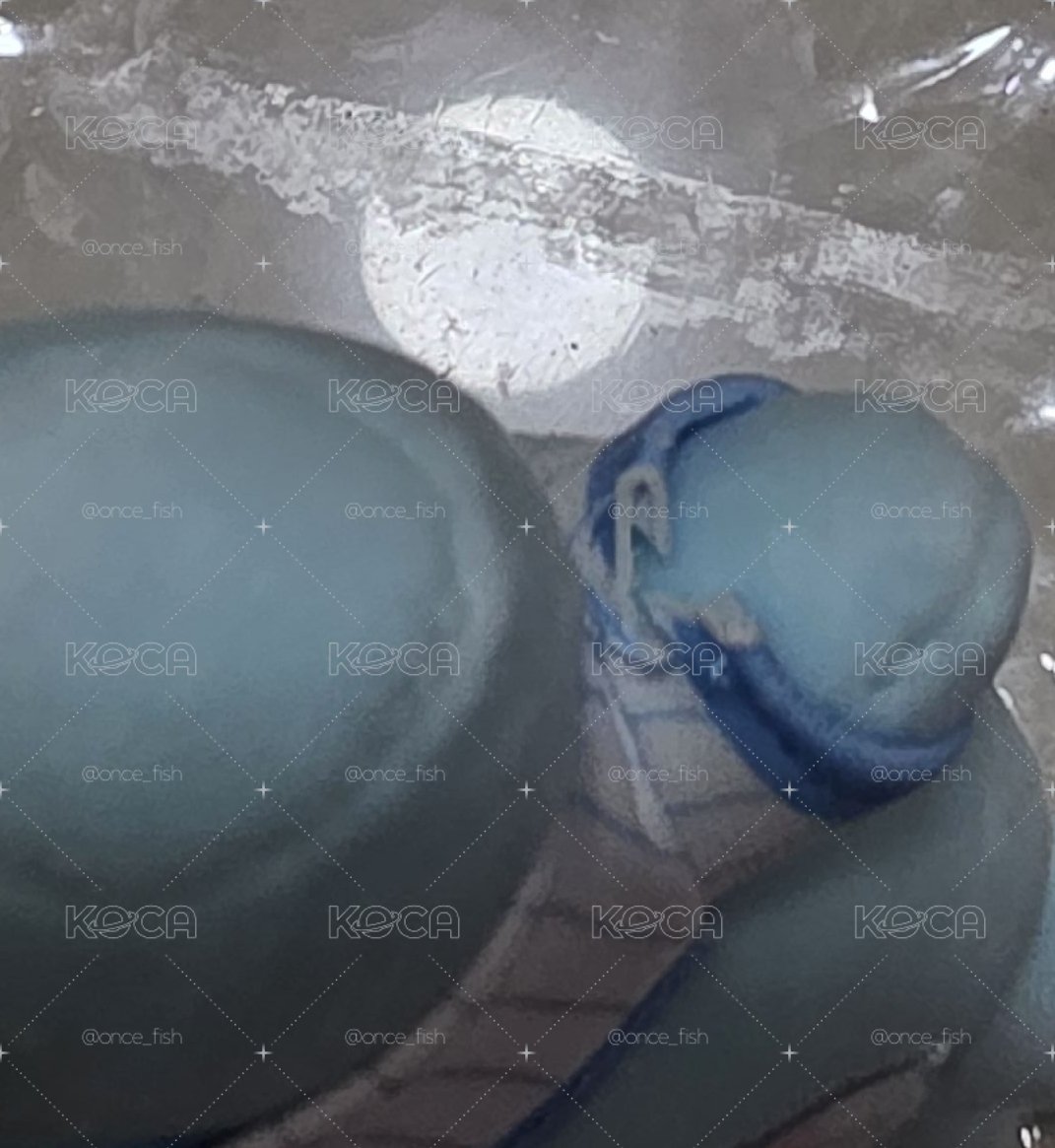 娜（gigo抱抱娃+十周年太空娃+新國立髮圈+ENEMY滿額卡+棒球娃）