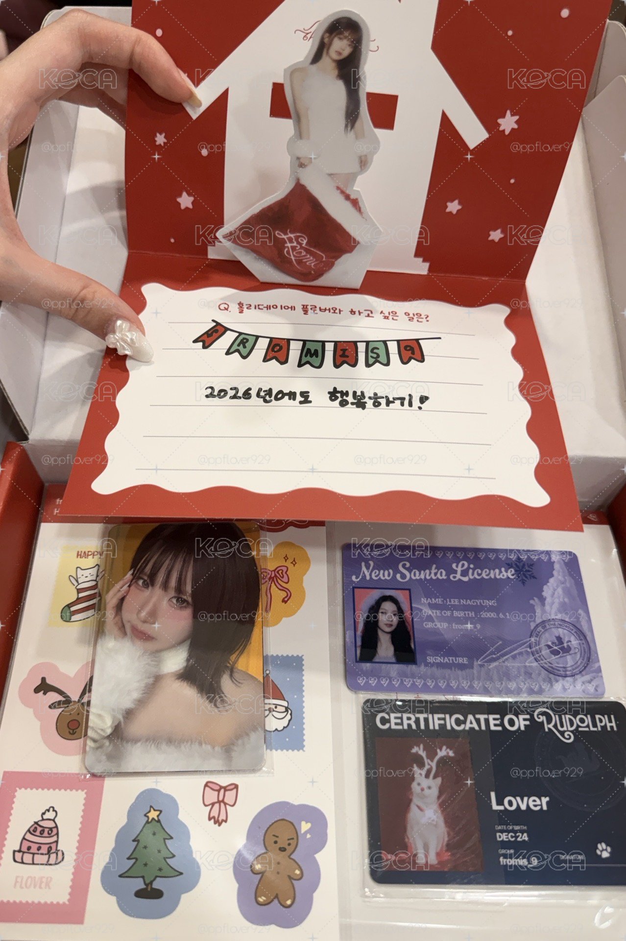 🤍🎀白色思念全專