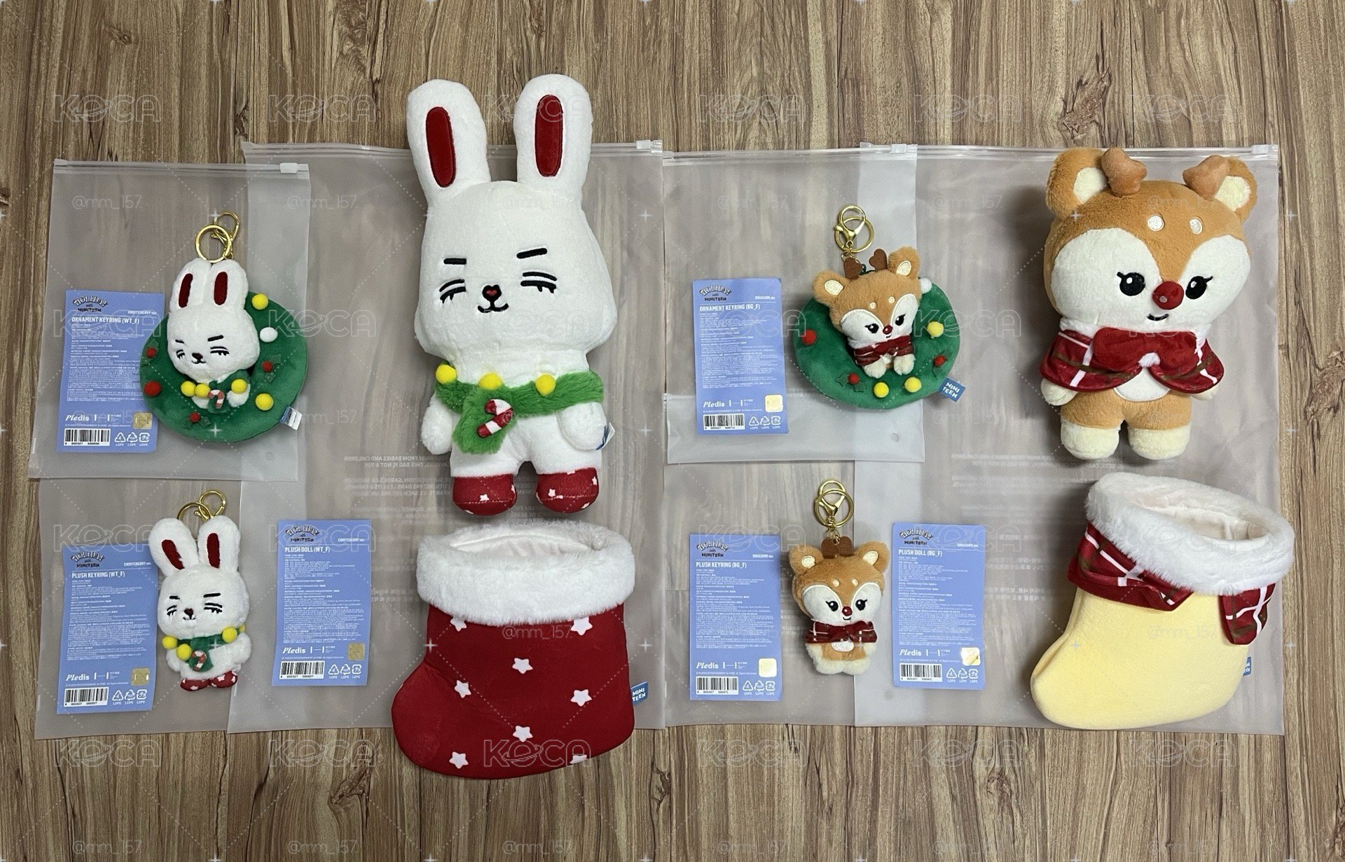 📦《聖誕 MINITEEN》S.Coups、Joshua (綁🍊)