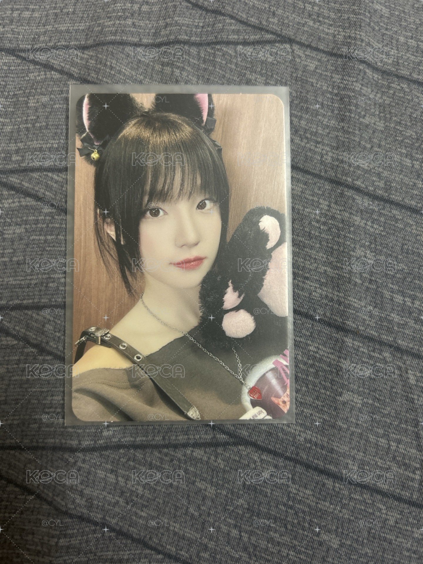 貓抓琦