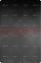 正1 yzy 1.0 簽售卡  背面