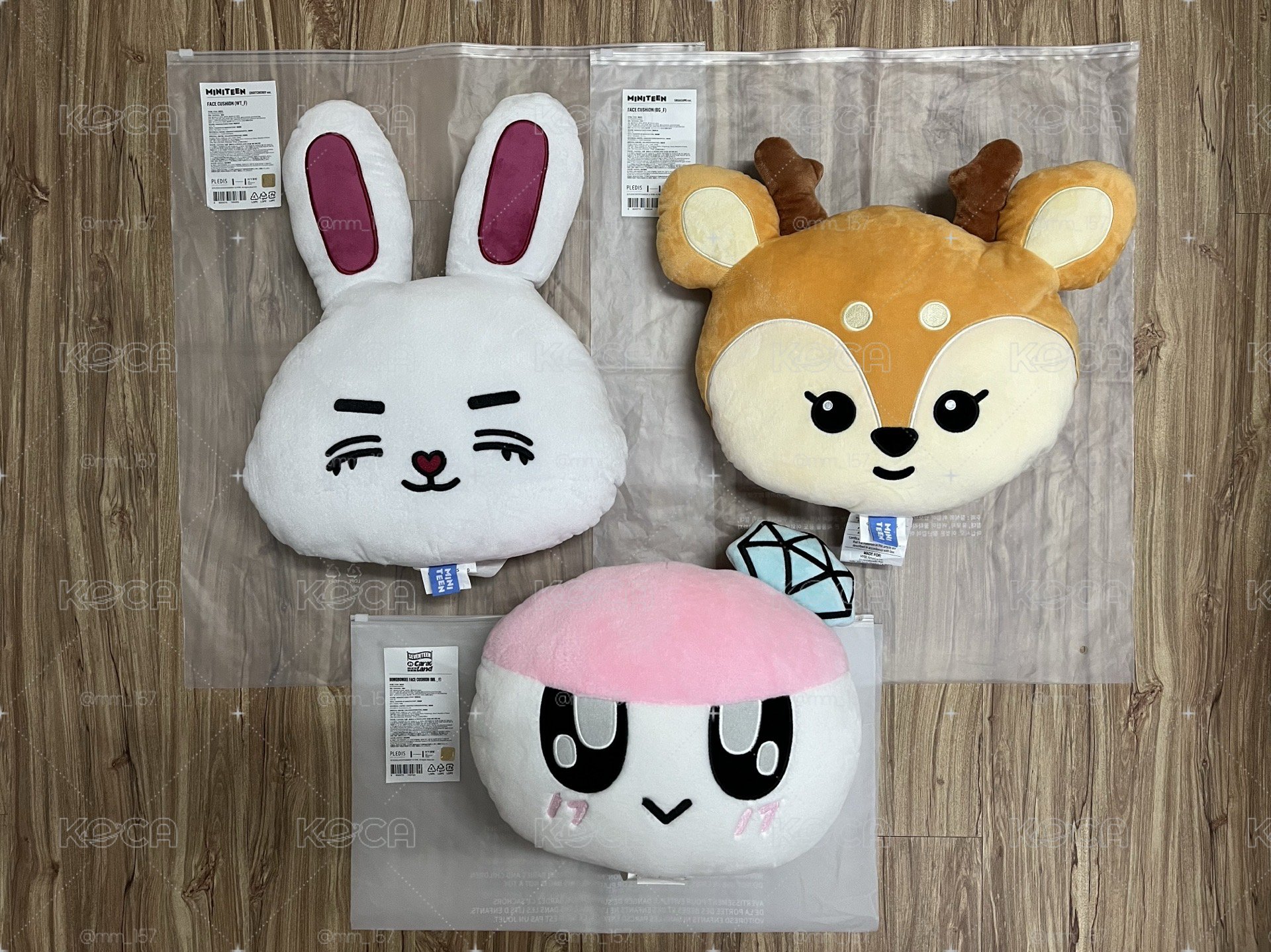 📦《MINITEEN》抱枕：S.Coups、Joshua、蹦蹦 (綁🍊)