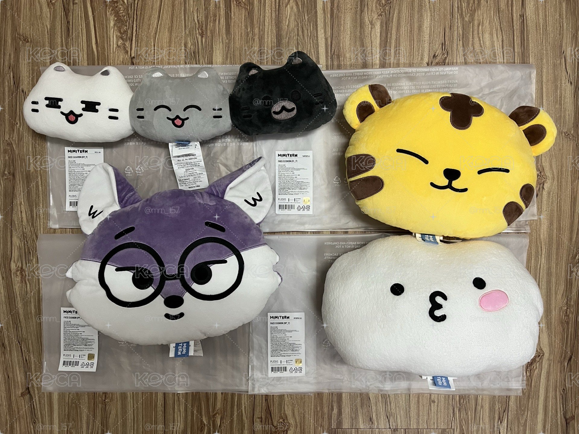 📦《MINITEEN》抱枕：96line (綁🍊)