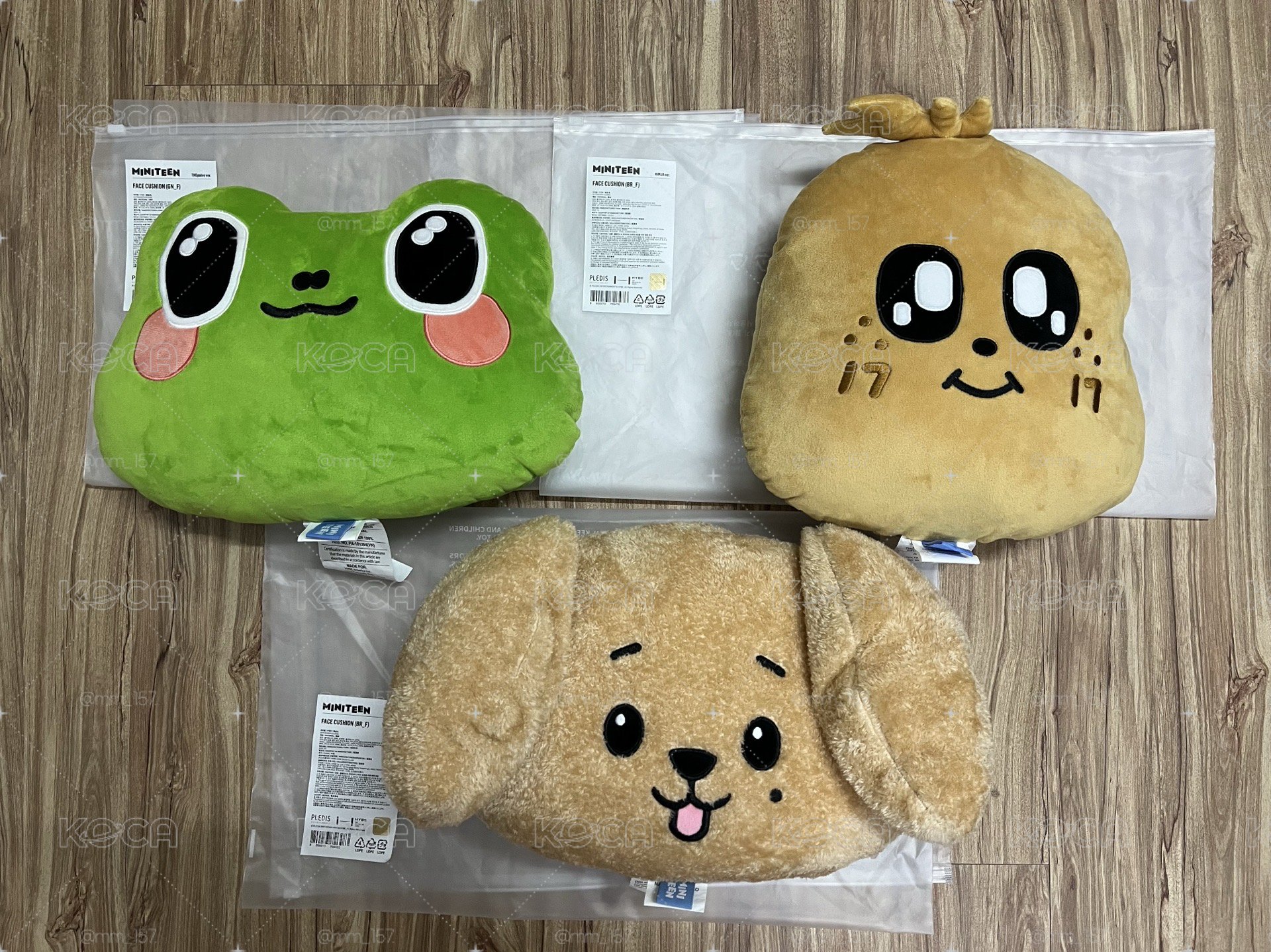 📦《MINITEEN》抱枕：97line (綁🍊)
