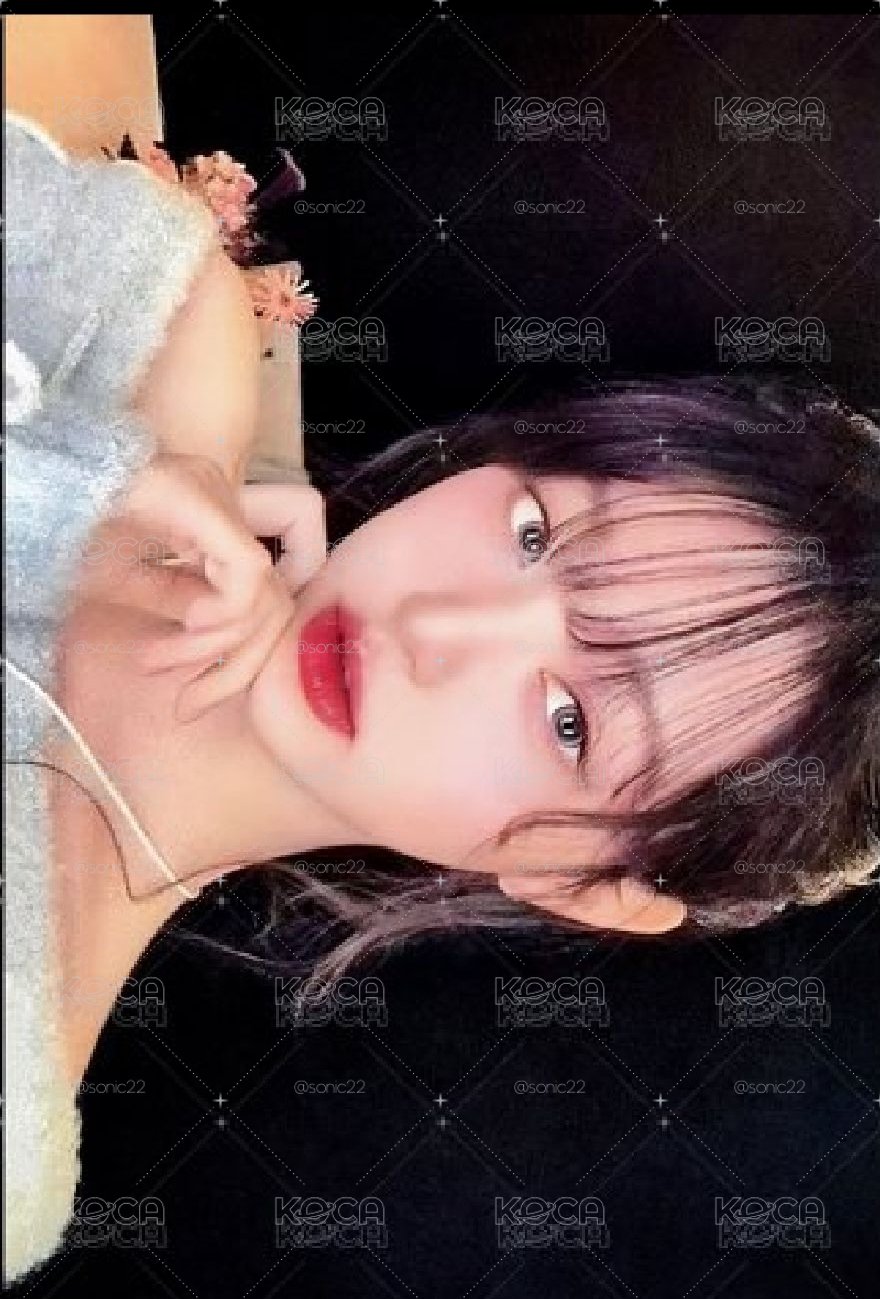 專卡 MD版 員