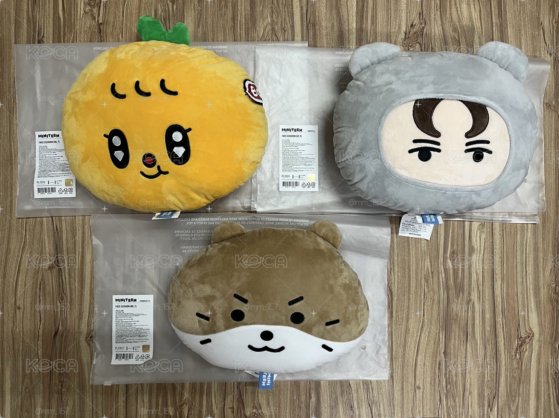 📦《MINITEEN》抱枕：忙內line (綁🍊)