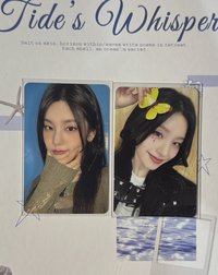 srb志+蝴蝶志