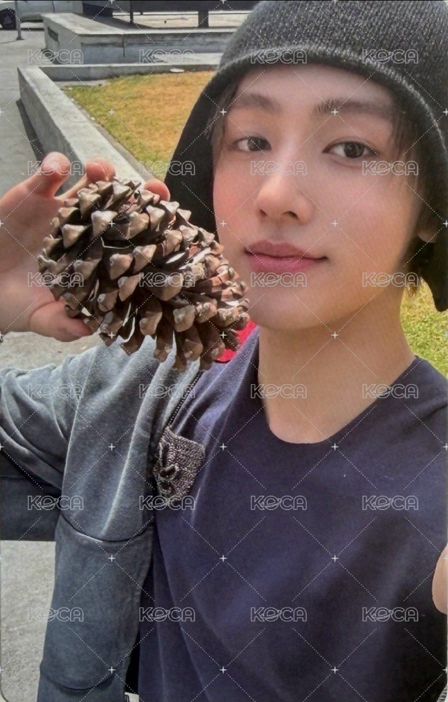 迷一 wvs 預售