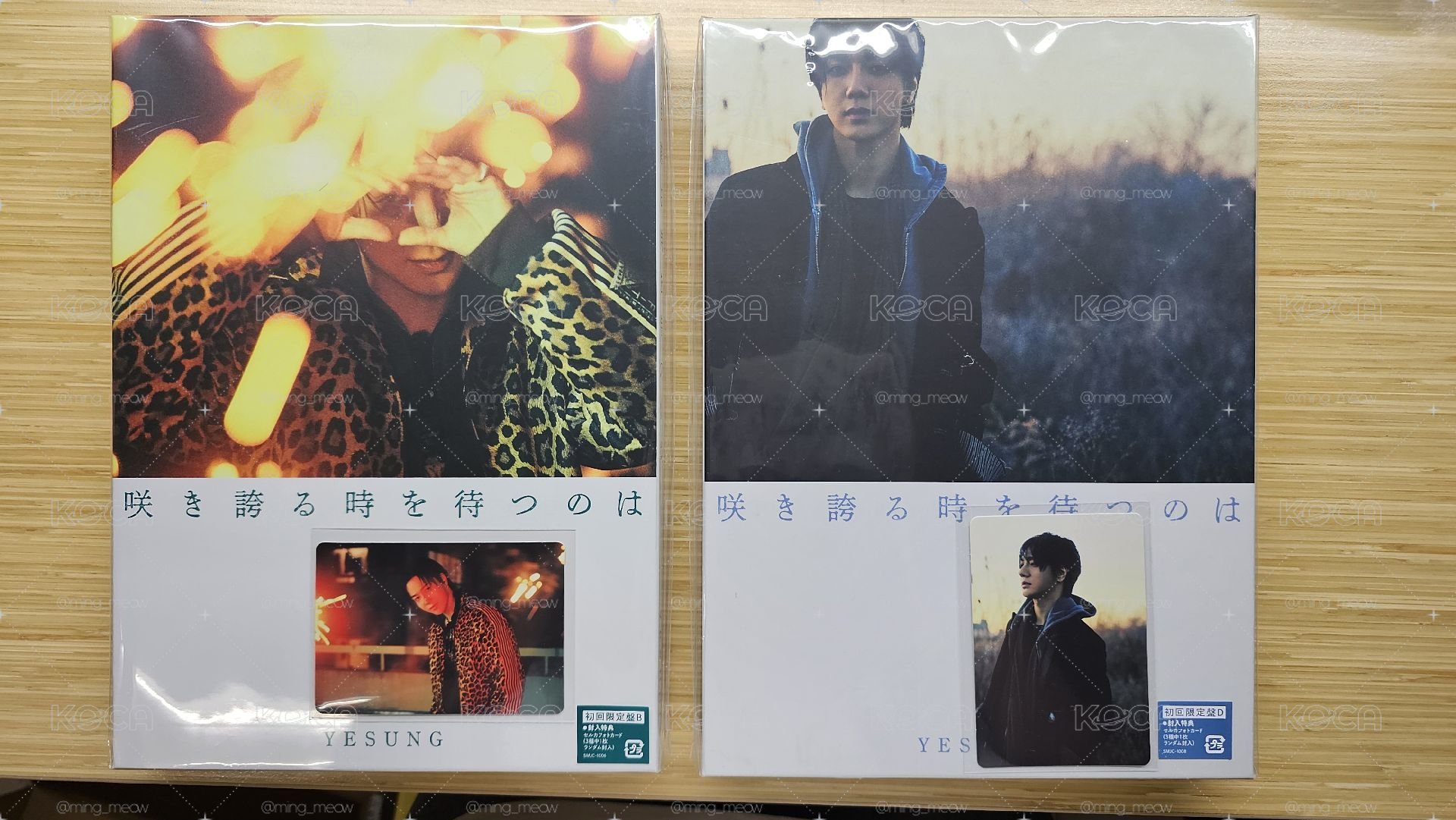 藝聲 日本應募 已拆全專 限定B盤 附特典卡