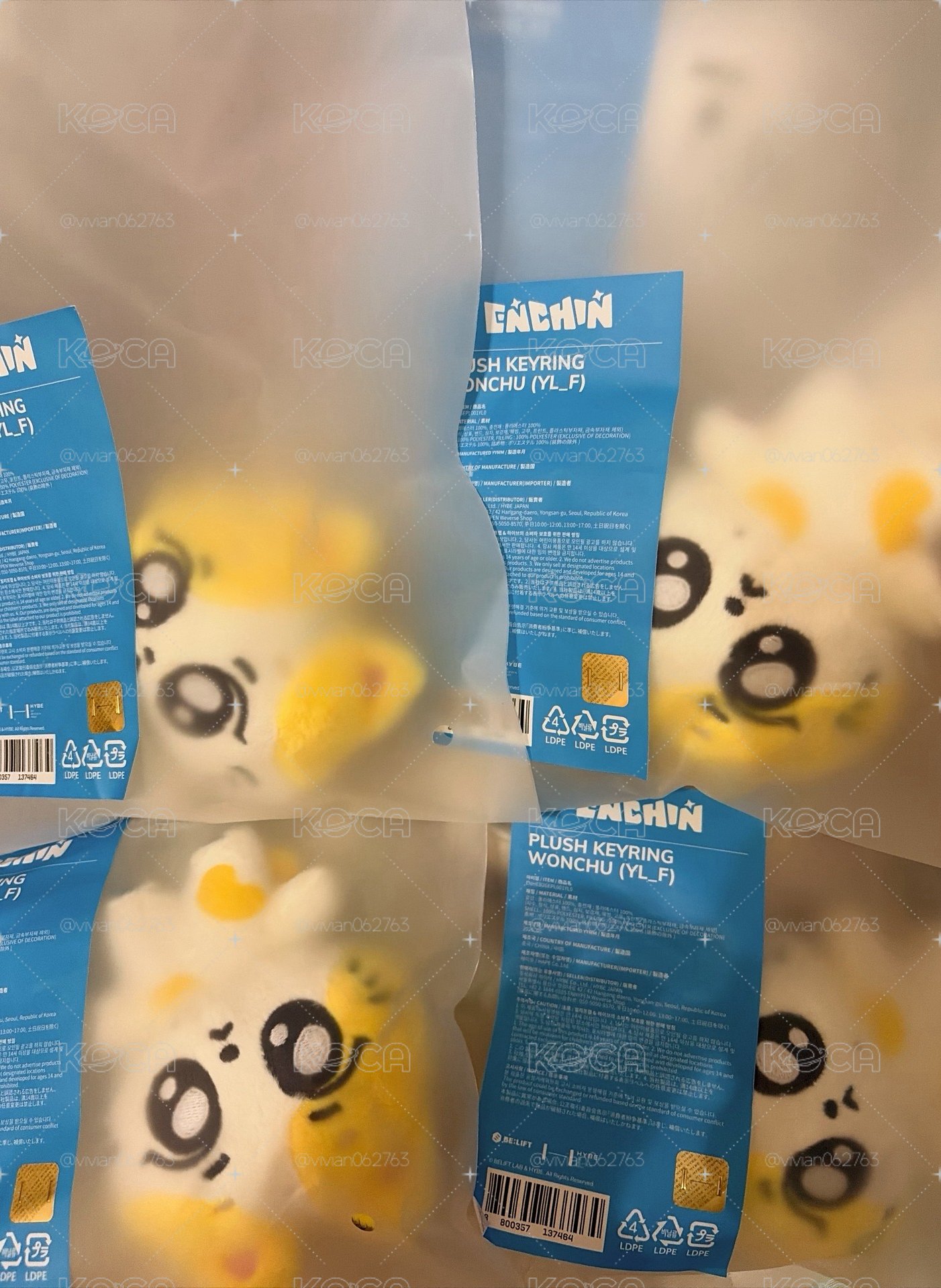 \現貨/wvs一販批次wonchu