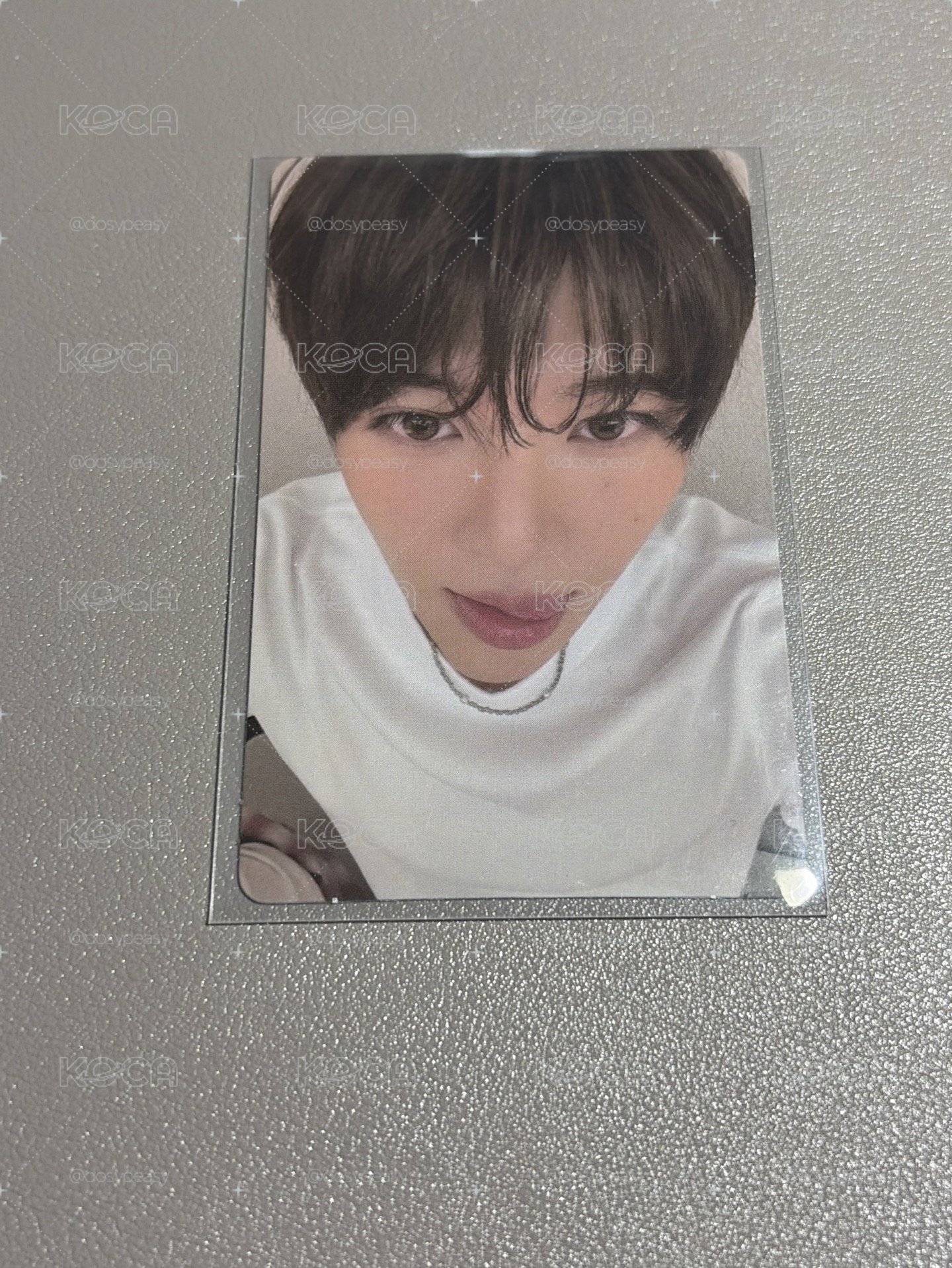 NCT WISH Color wvs 直播卡 SION