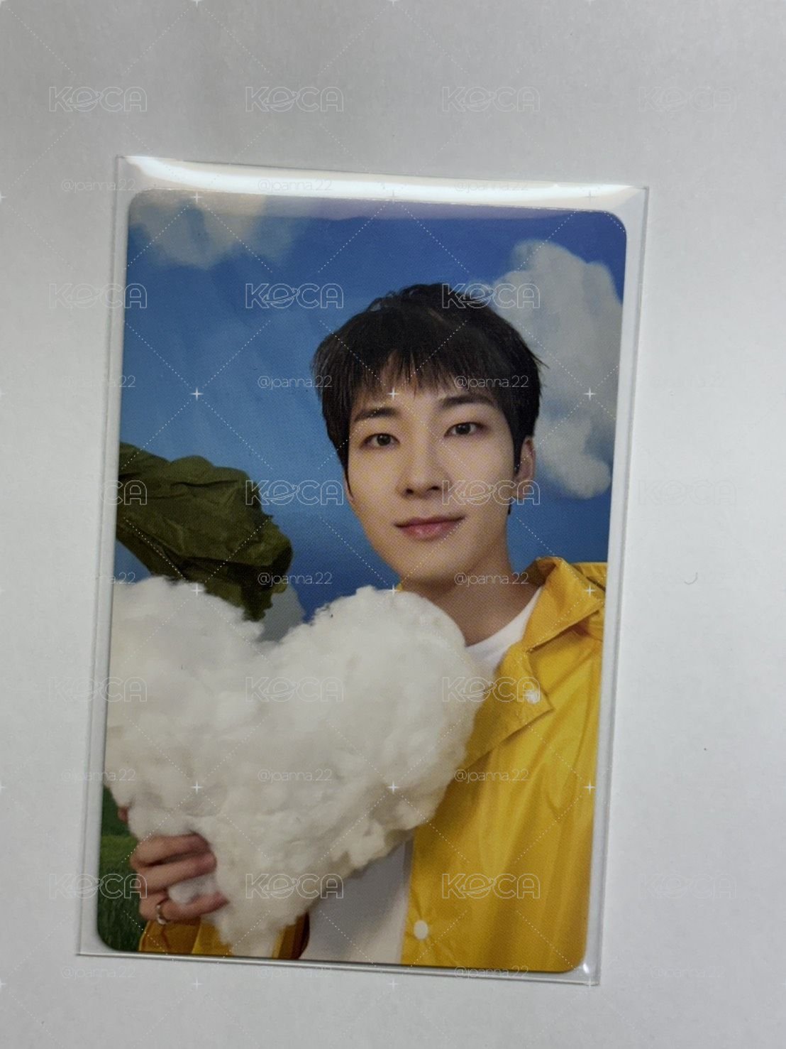 圓 mini11 專輯卡 carat ver.