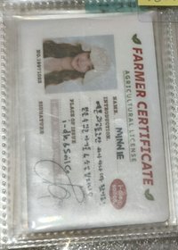 2.米妮小卡