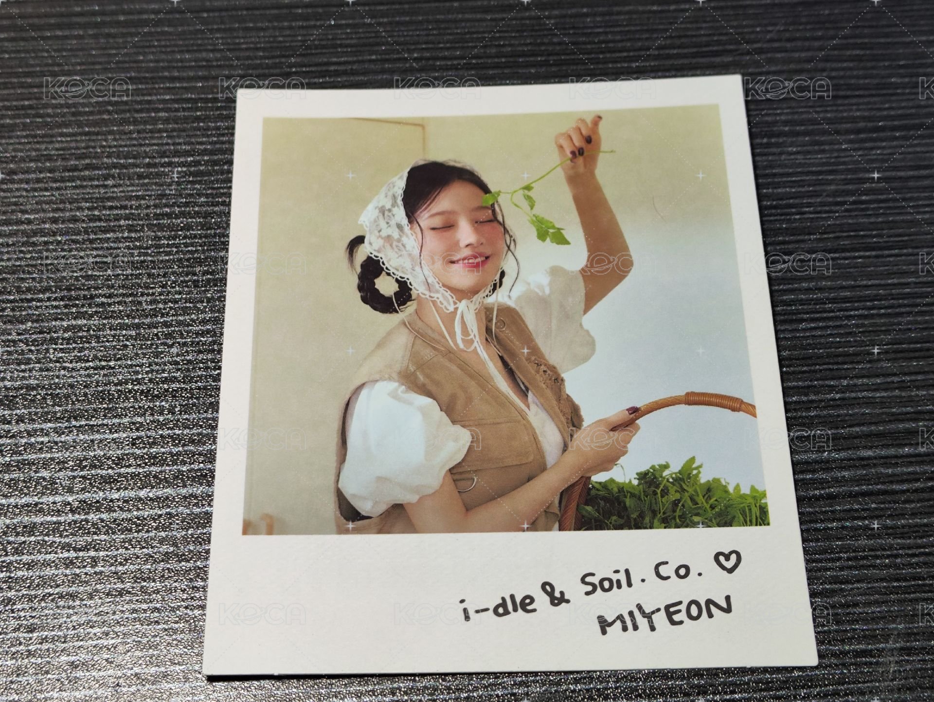 薇娟拍立得
