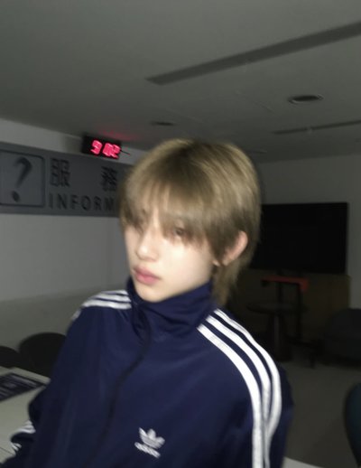 豬豬