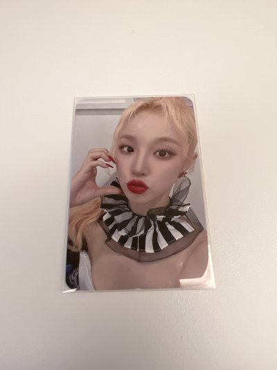 琦 wonderwall簽售卡