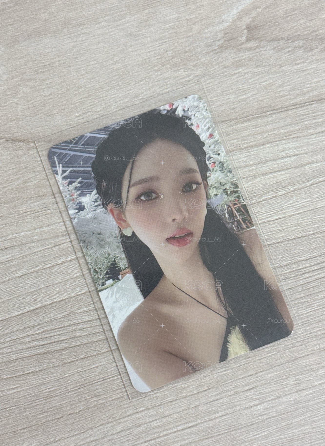 22冬專家族普專卡柚