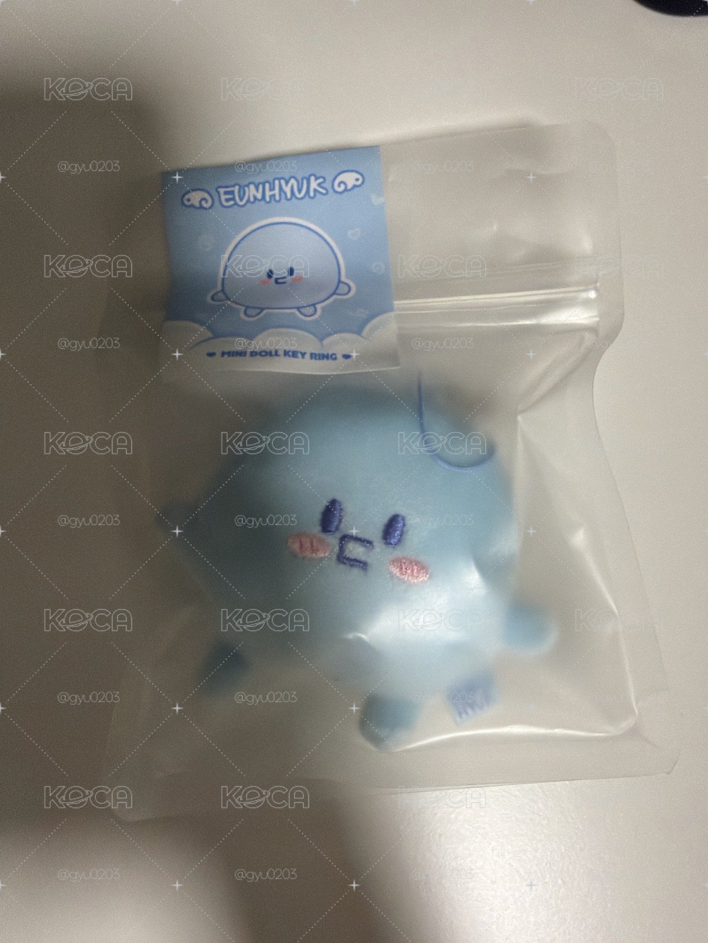 赫19糰 全新未拆 麻煩幫我看說明