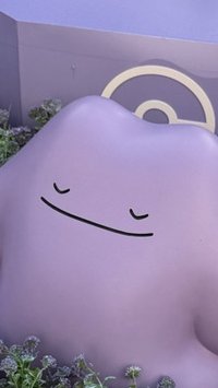 zz..
