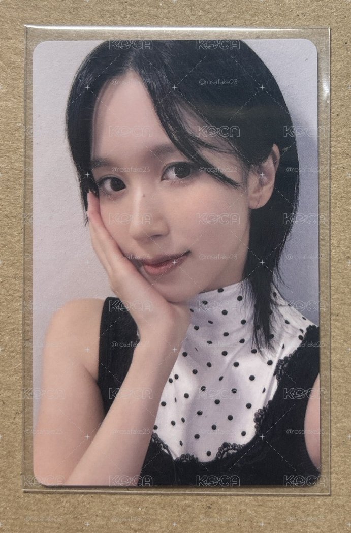 TWICE 捧臉南 中文卡背