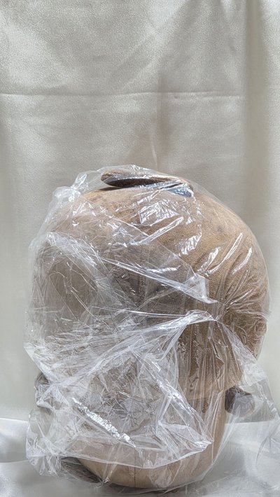 【暮良品】甲蟲｜大型甲蟲｜版本｜全新未拆
