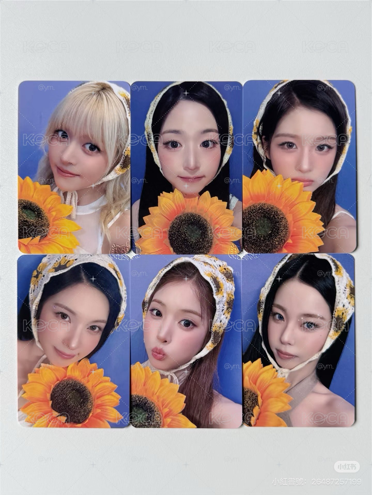 向日葵🌻