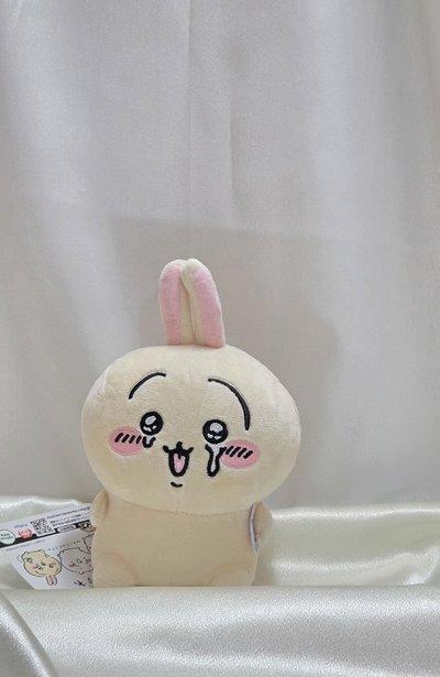 【暮良品】兔子｜哭哭款｜日版｜全新