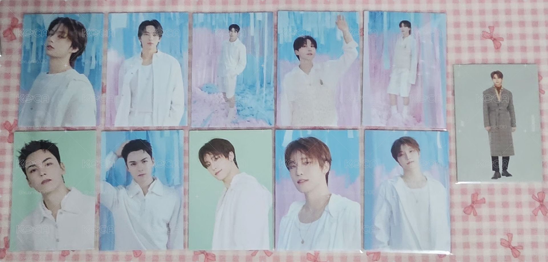 SEVENTEEN 飯咪 演唱會 小卡  文俊輝 金珉奎  李碩珉 崔瀚率 夫勝寛 李燦