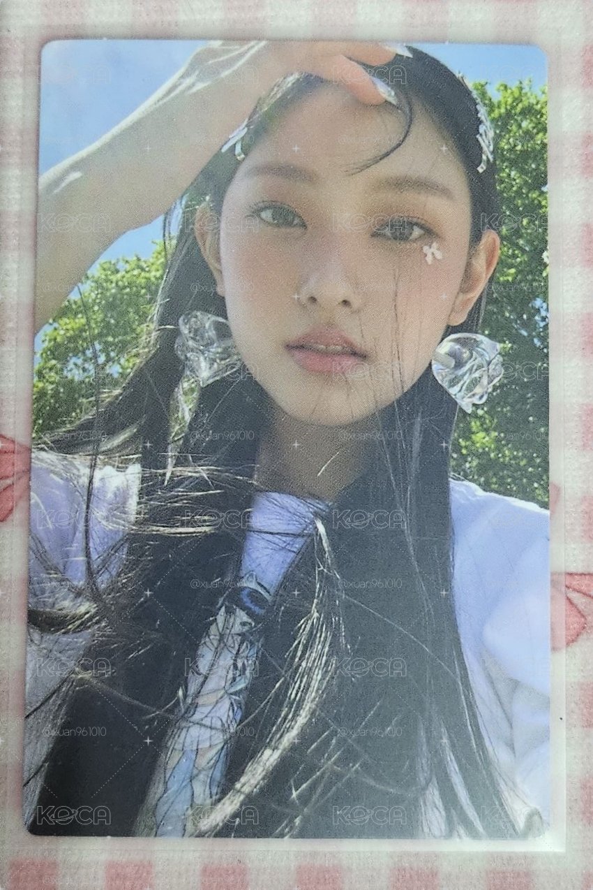 NEWJEANS 姜諧潾 快閃店小卡