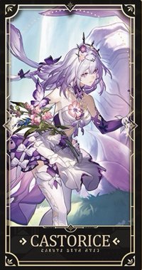 二週年紀念收藏卡 收藏卡 