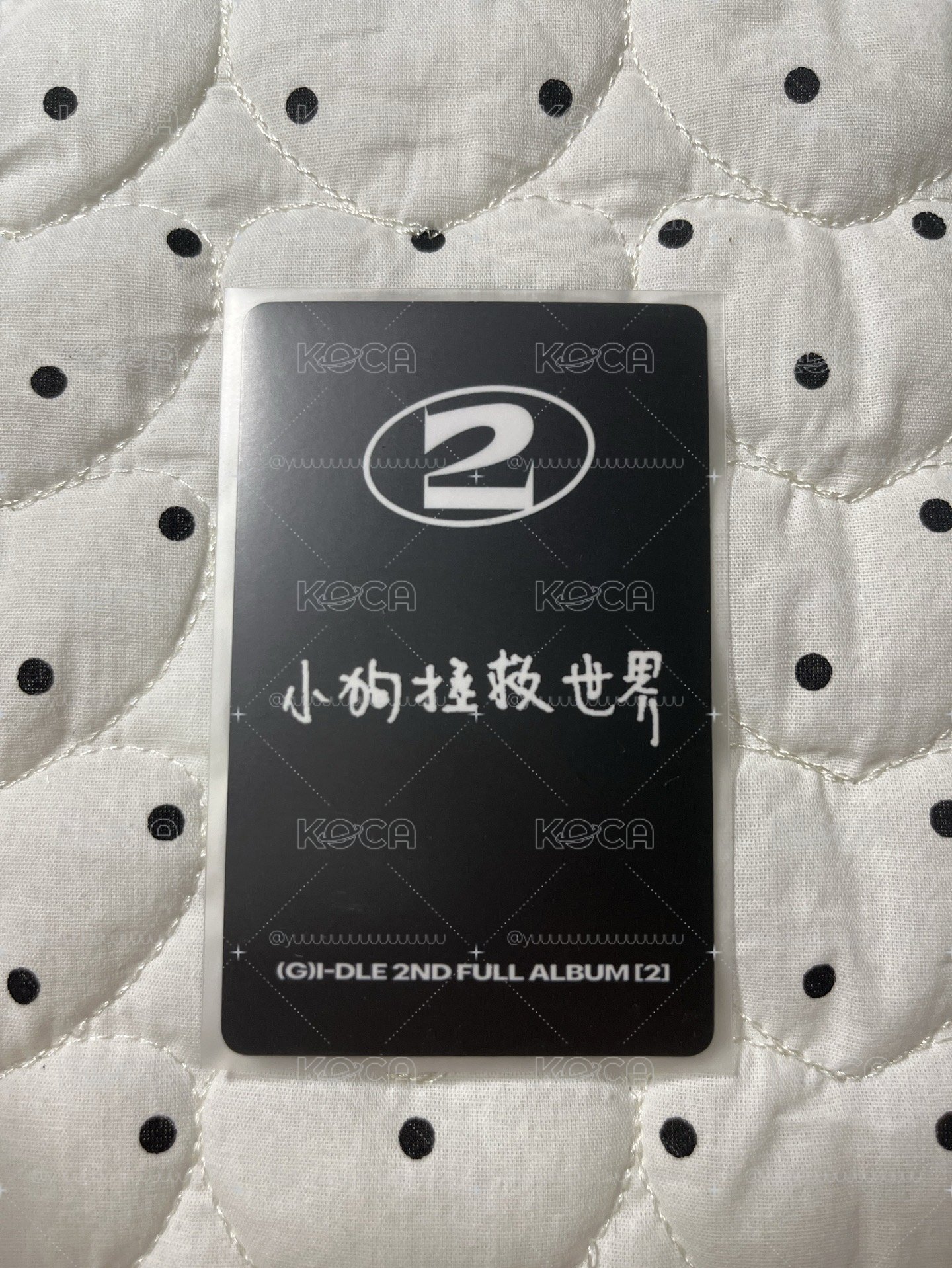 琦jc中背
